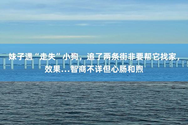 妹子遇“走失”小狗，追了两条街非要帮它找家，效果…智商不详但心肠和煦