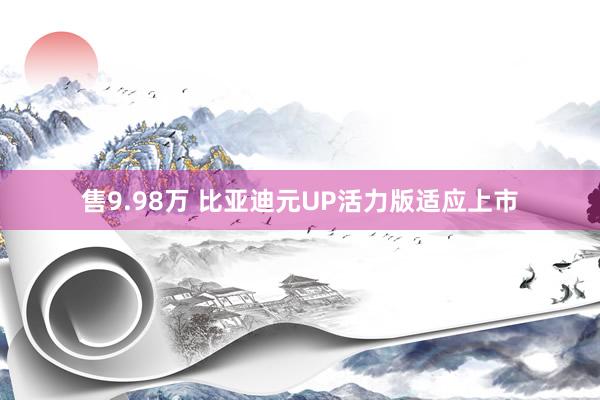 售9.98万 比亚迪元UP活力版适应上市