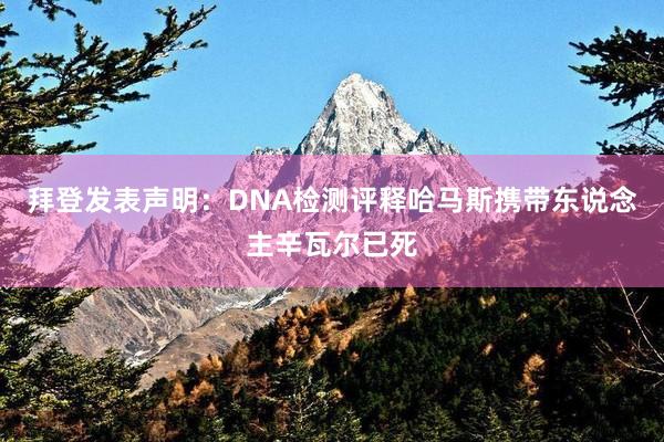 拜登发表声明：DNA检测评释哈马斯携带东说念主辛瓦尔已死